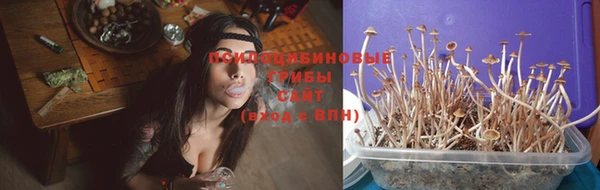 МДПВ Абаза