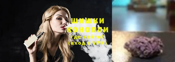 тгк Пересвет