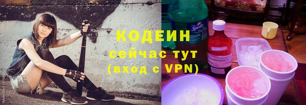 индика Санкт-Петербург
