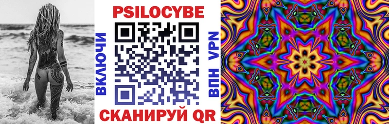 Псилоцибиновые грибы мухоморы  Камень-на-Оби 