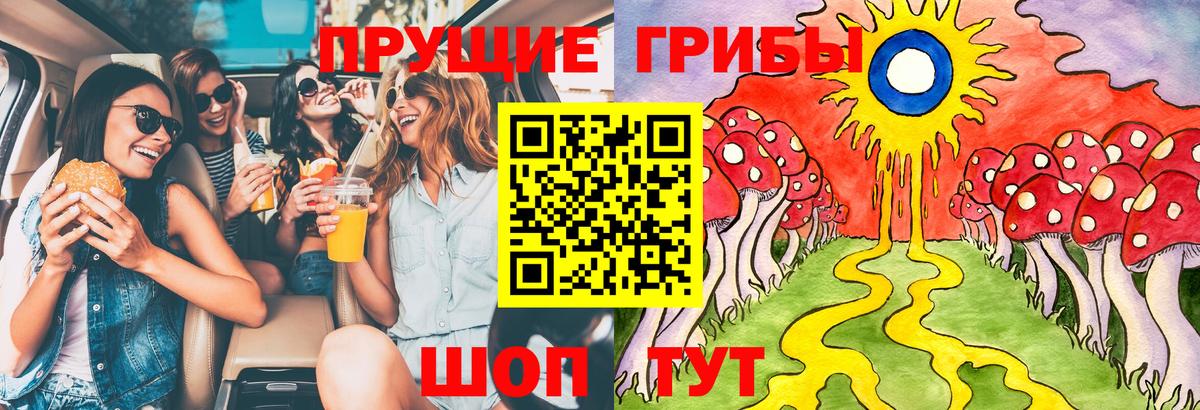 Камень-на-Оби  Галлюциногенные грибы мухоморы  Вход с VPN 