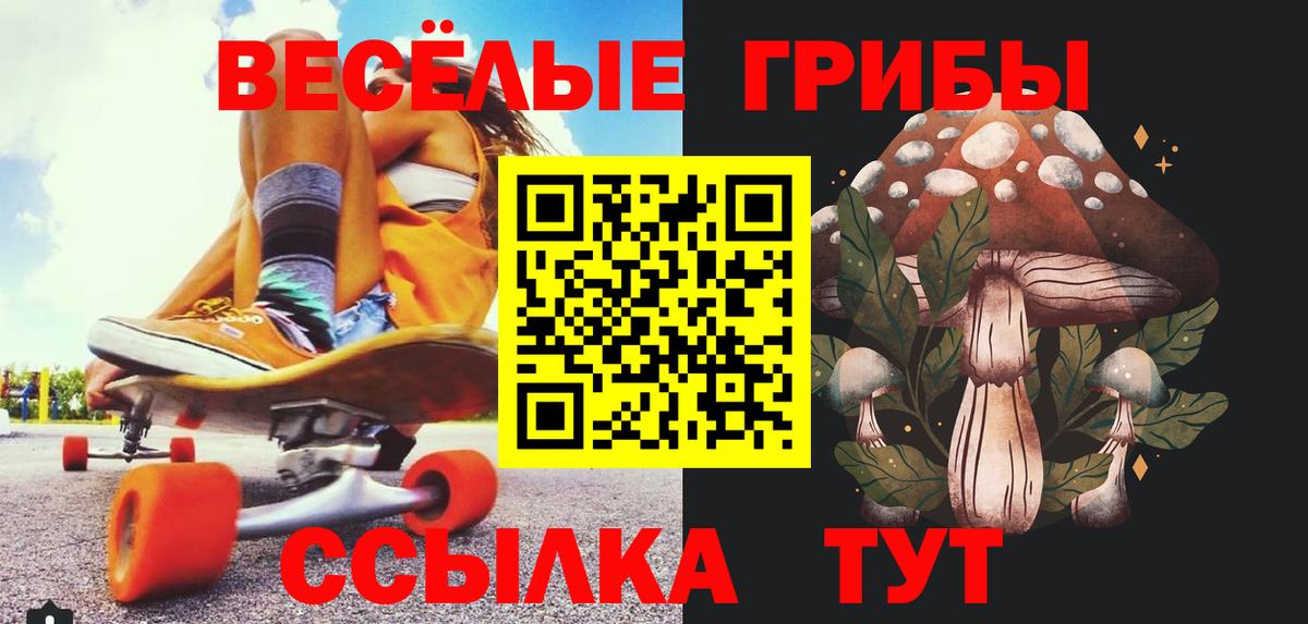 Псилоцибиновые грибы Psilocybe Камень-на-Оби